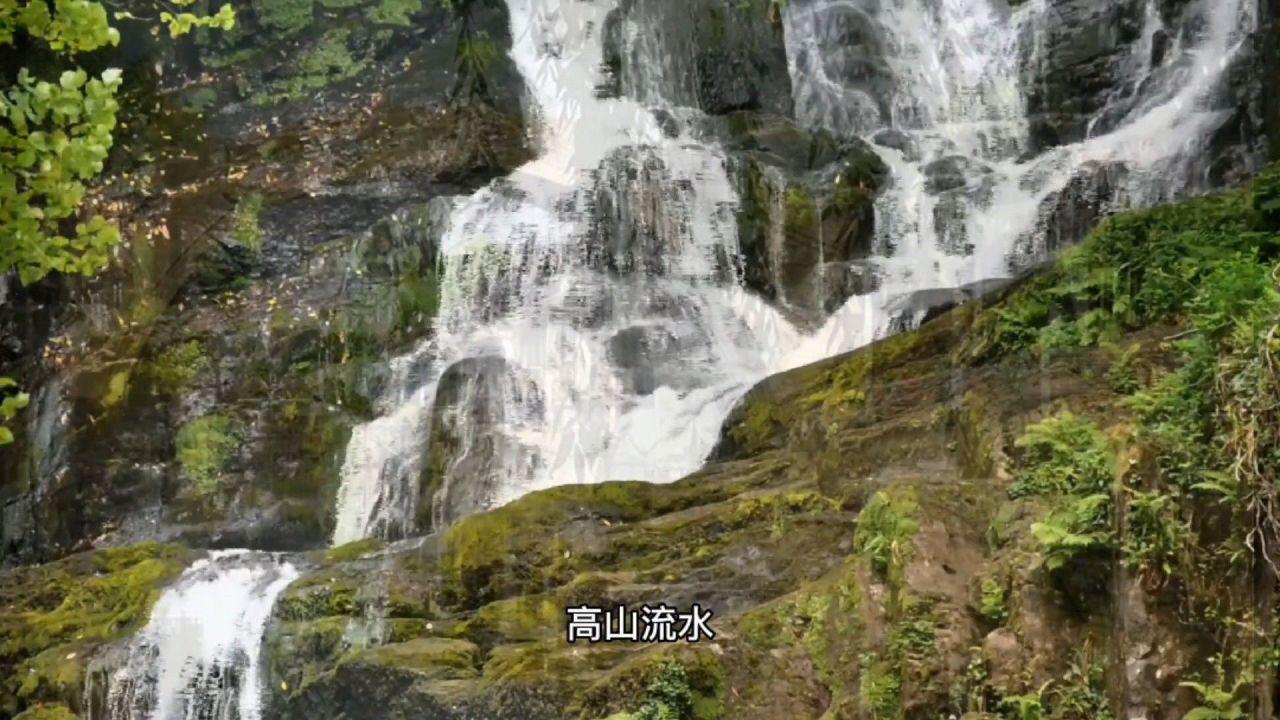 9部电影官宣2024春节档上映
