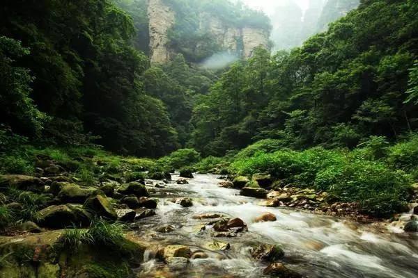 深度试驾EMEYA繁花：当加速变得廉价，路特斯如何坚守本真？